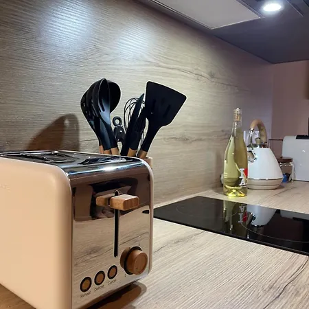 Cosy Spacieux 6 Pers Ax Thermes Centre Parking 公寓 阿克斯莱泰尔姆
