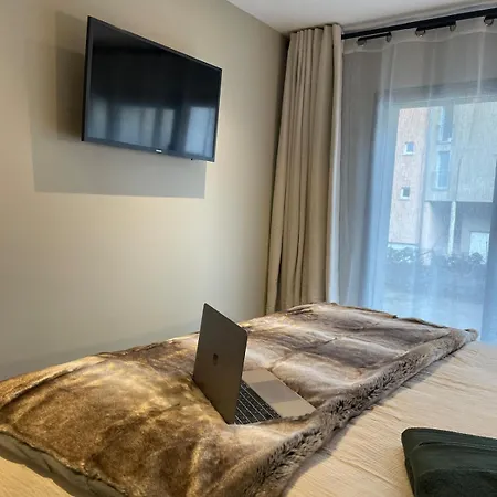 Cosy Spacieux 6 Pers Ax Thermes Centre Parking * 阿克斯莱泰尔姆