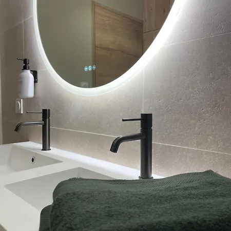 公寓 Cosy Spacieux 6 Pers Ax Thermes Centre Parking 阿克斯莱泰尔姆