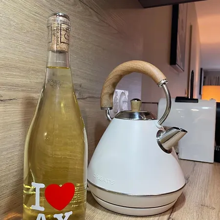 Cosy Spacieux 6 Pers Ax Thermes Centre Parking Lejlighed *