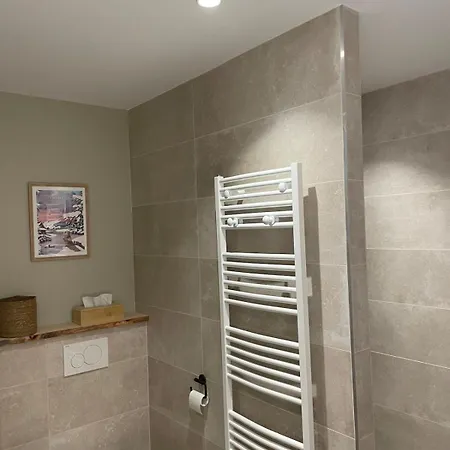 公寓 Cosy Spacieux 6 Pers Ax Thermes Centre Parking
