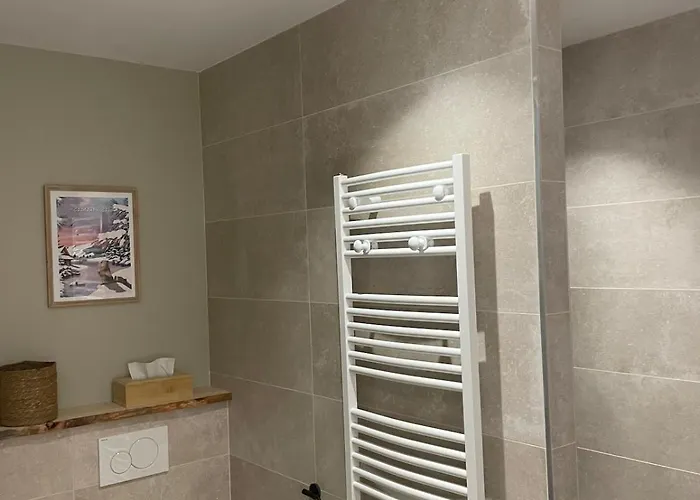 公寓 Cosy Spacieux 6 Pers Ax Thermes Centre Parking